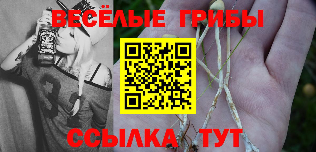 Псилоцибиновые грибы Cubensis Сарапул