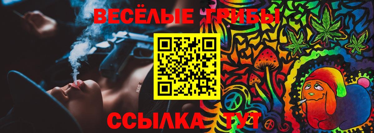 Псилоцибиновые грибы MAGIC MUSHROOMS  Галлюциногенные грибы GOLDEN TEACHER  Вход с VPN  Сарапул 
